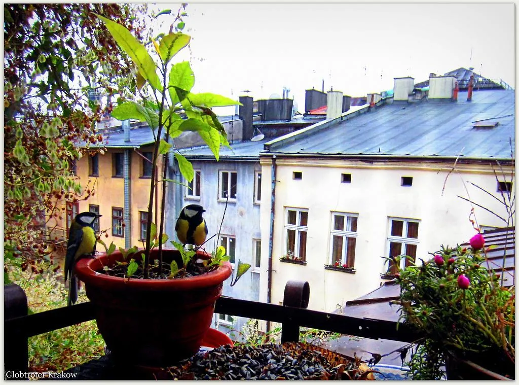 Globtroter Guest House Krakow
